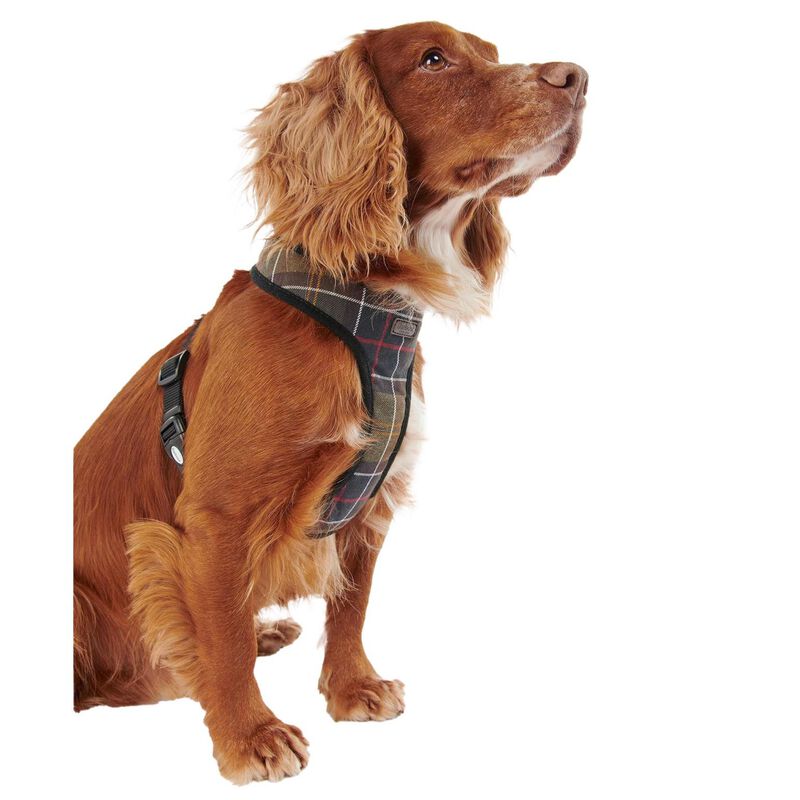 Barbour Tartan Dog Harness image number 0